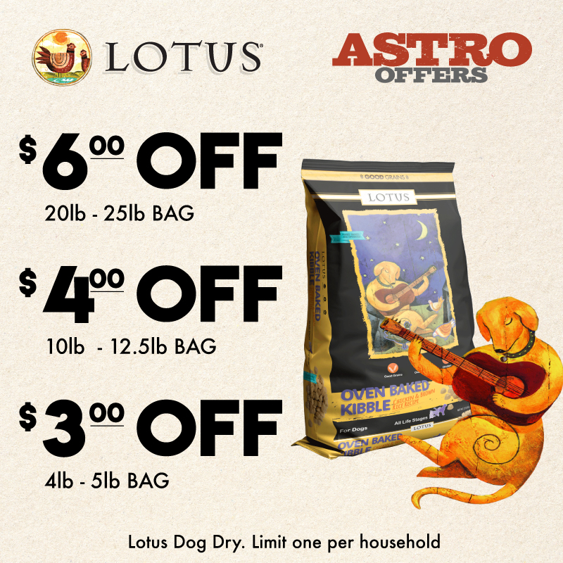 Promotion Image