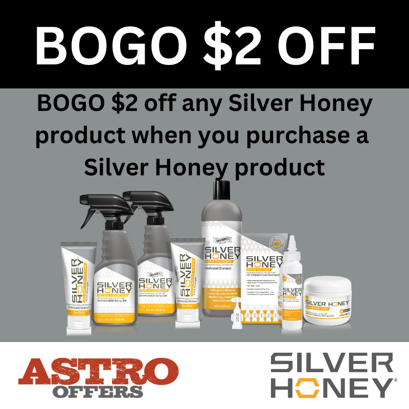 Promotion Image