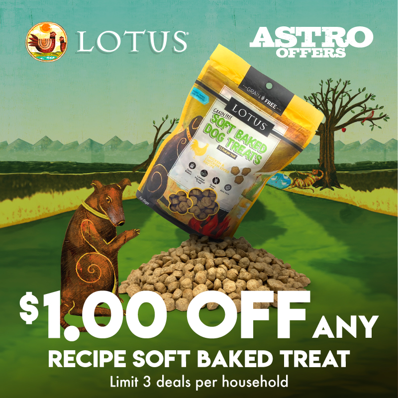 Promotion Image