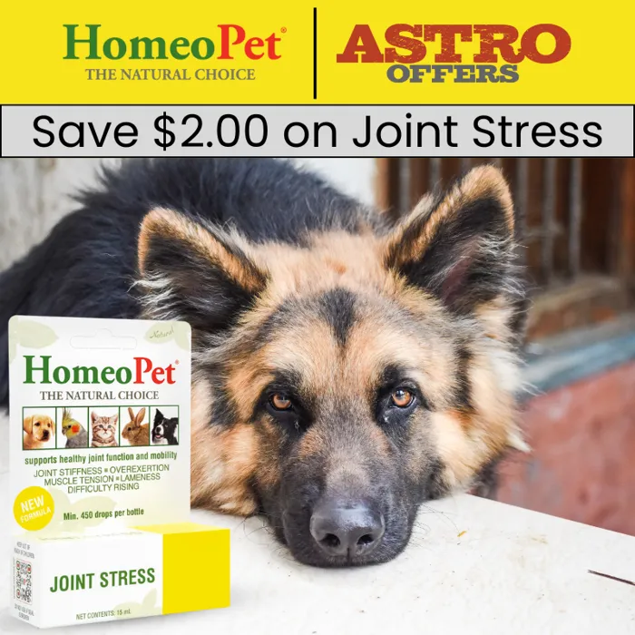 Promotion Image