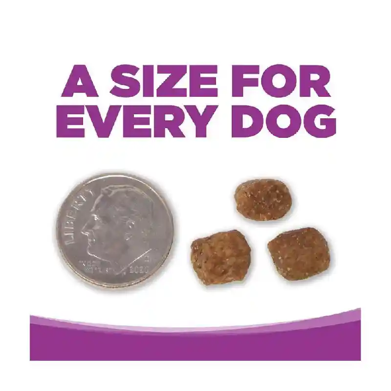 NutriSource Dog Ckn & Rice Puppy Large Breed 30#