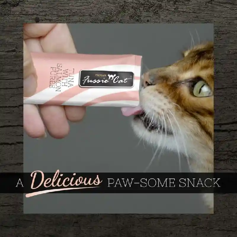 Fussie Cat Treat Tuna Slmn Puree 4/.05-oz