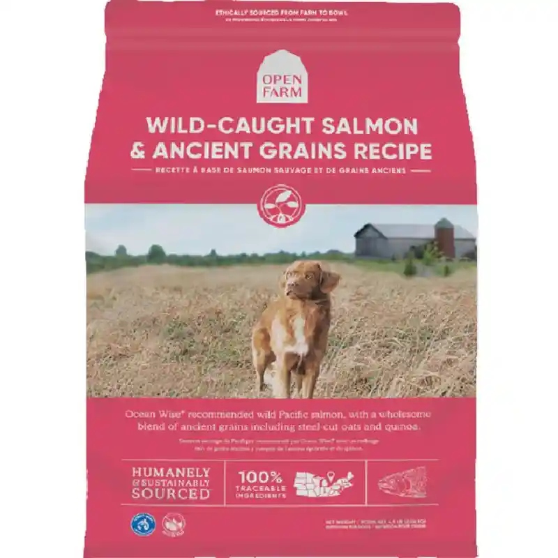 Open Farm Dog Ancient Grain Wild Slmn 22#