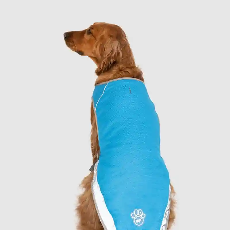 Canada Pooch Cooling Vest Blue 14 Bluee