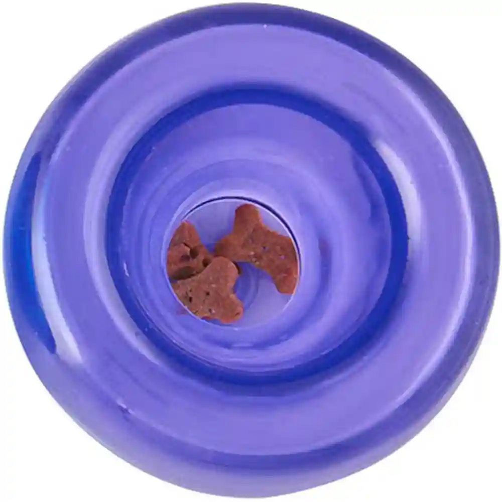 Planet Dog Orbee Tuff Lil Snoop Purple