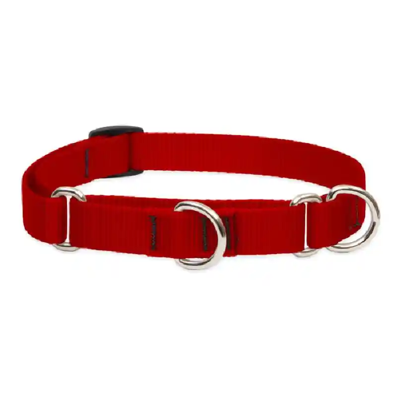 Lupine Red 3/4" Coupler 24"