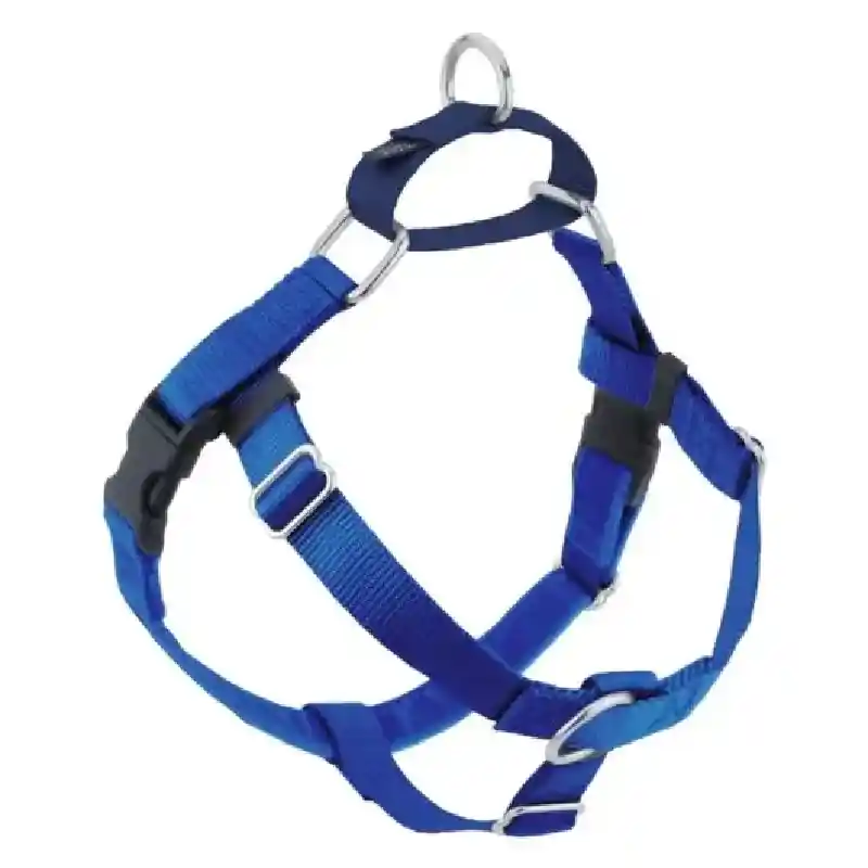 Freedom No Pull 1" Lg Royal Blue