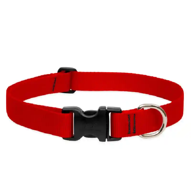 Lupine Red 1" Collar 12-20"