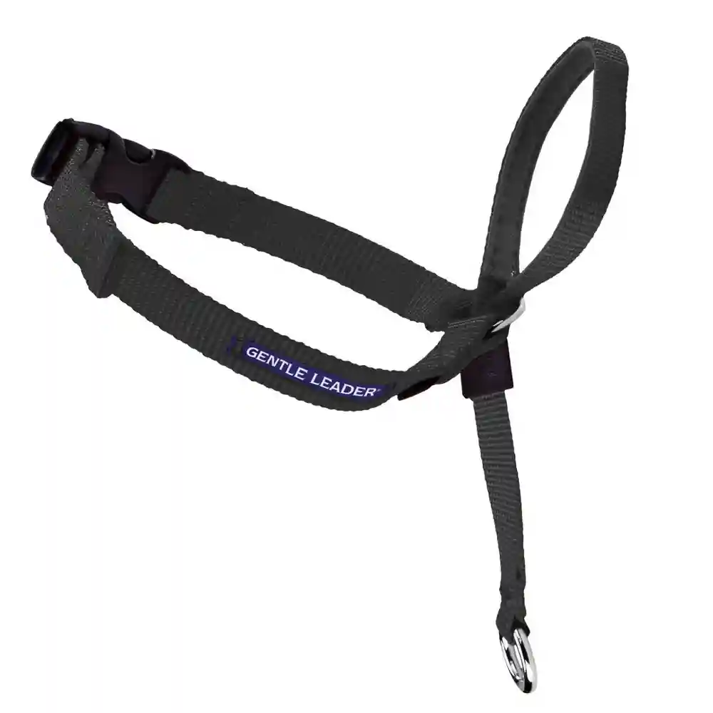 Gentle Leader Headcollar Blk Medium