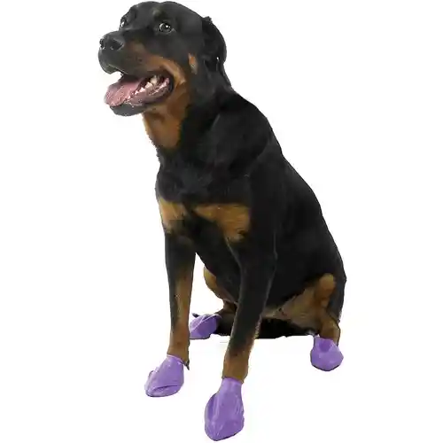 Pawz Waterproof Boots Purple Large