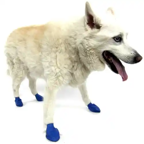 Pawz Waterproof Boots Blue Medium