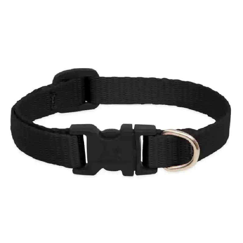 Lupine Blk 1/2" Collar 8-12"