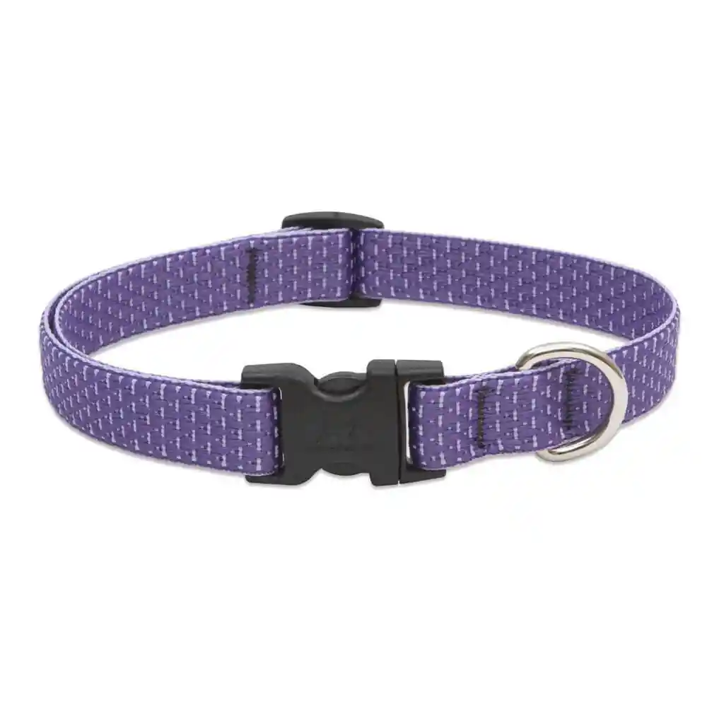 Lupine ECO 3/4" Lilac Collar 13-22"