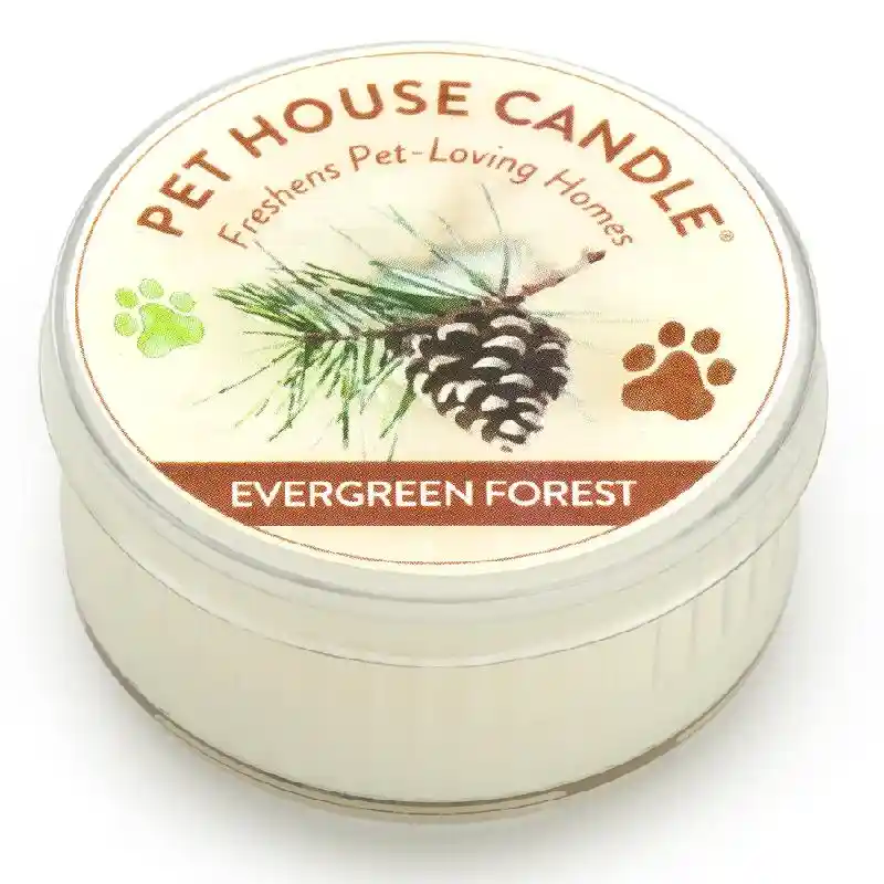 Pet House Candle Winter Evergreen Forest Mini