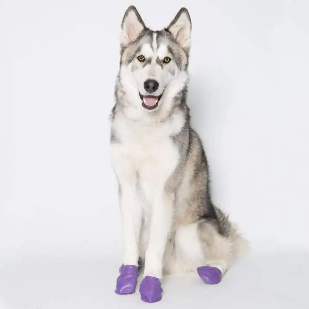 Pawz Waterproof Boots Purple Large