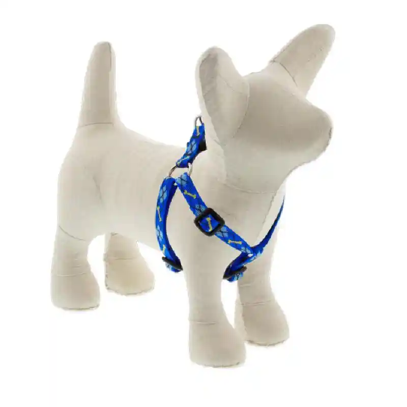Lupine Dapper Dog 1/2" Step-in Harness 10-13"