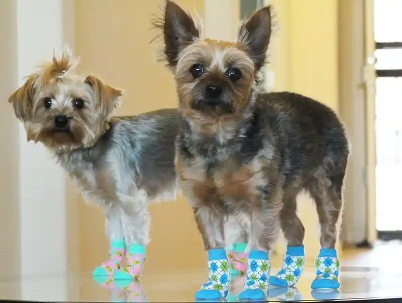 Doggie Design Non Skid Green Camo XS