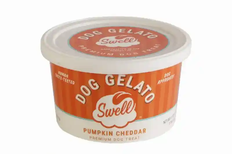 Swell Gelato Frozen Pumpkin Cheddar 4 Oz 12/case