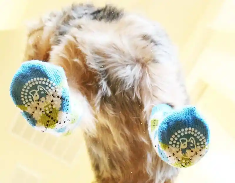 Doggie Design Non Skid Green Camo XS