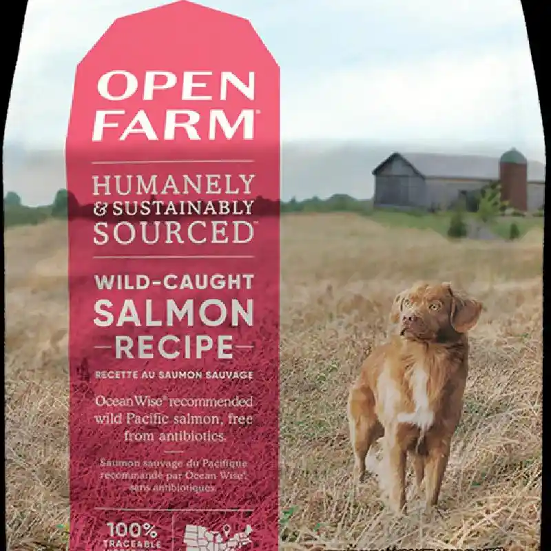 Open Farm Dog GF Wild Slmn 4#