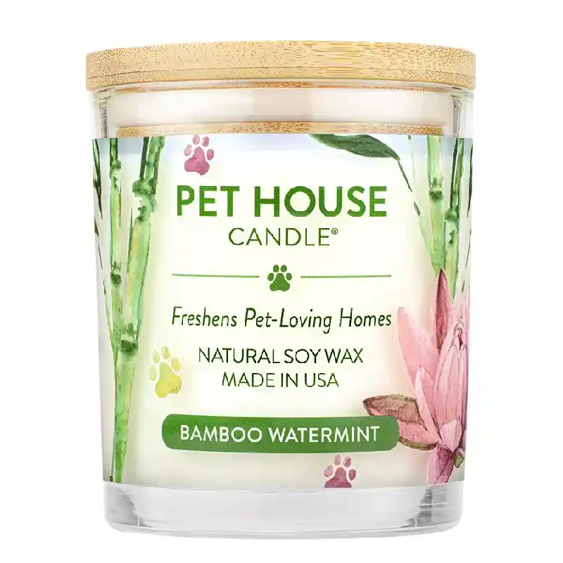 Pet House Candle Everyday Bamboo Watermint