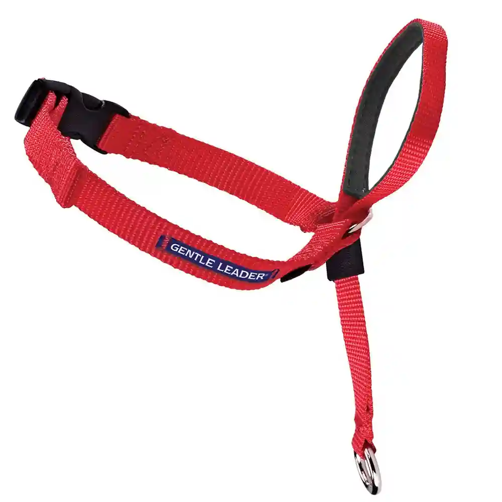 Gentle Leader Headcollar Red Md