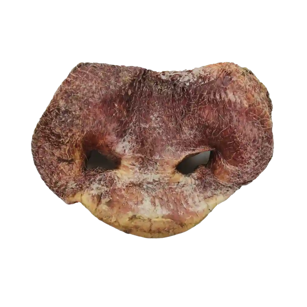 Vital E Raw Bar Pig Snout