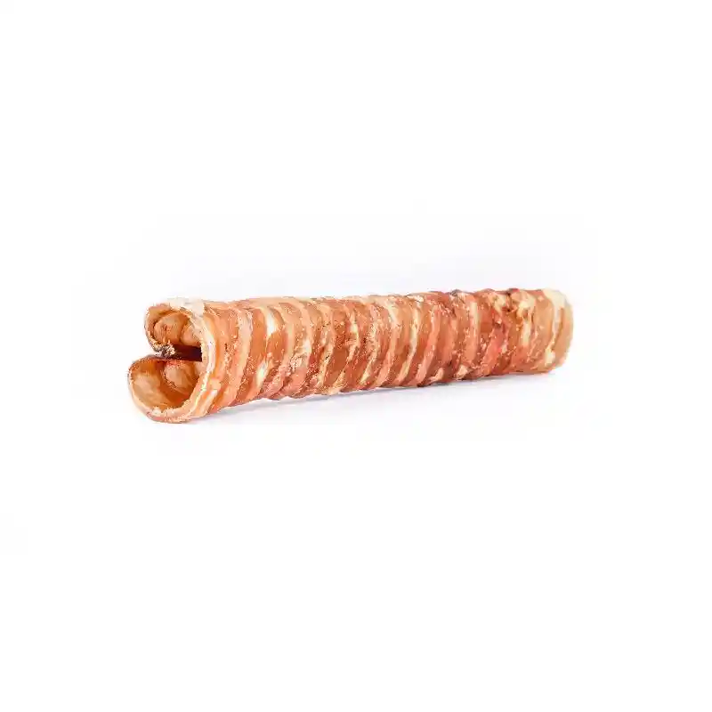 Raw Dog Chews Bf Trachea 6"