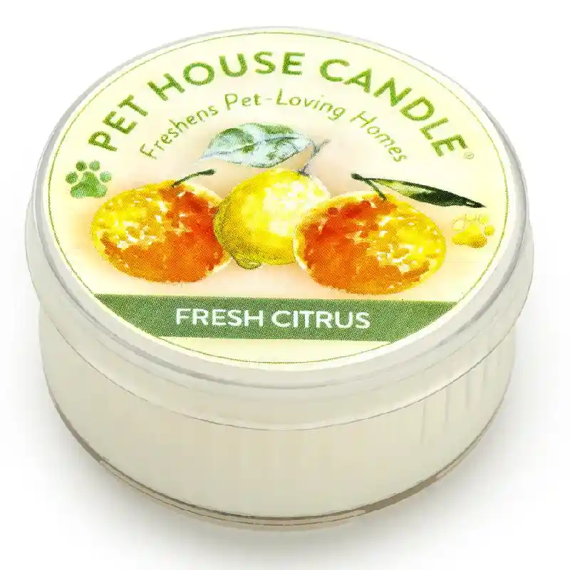 Pet House Candle Everyday Fresh Citrus Mini