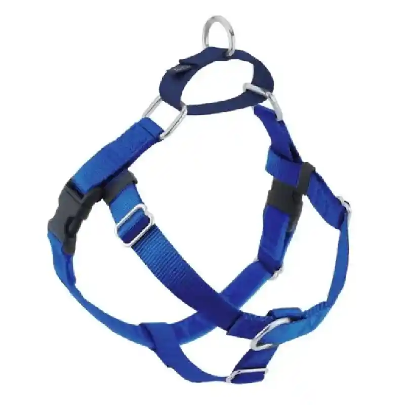 Freedom No Pull 1" XLg Royal Blue