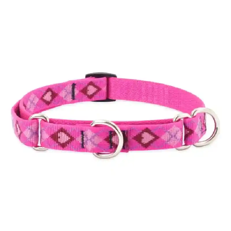 Lupine Puppy Love 3/4" Martingale 10-14"