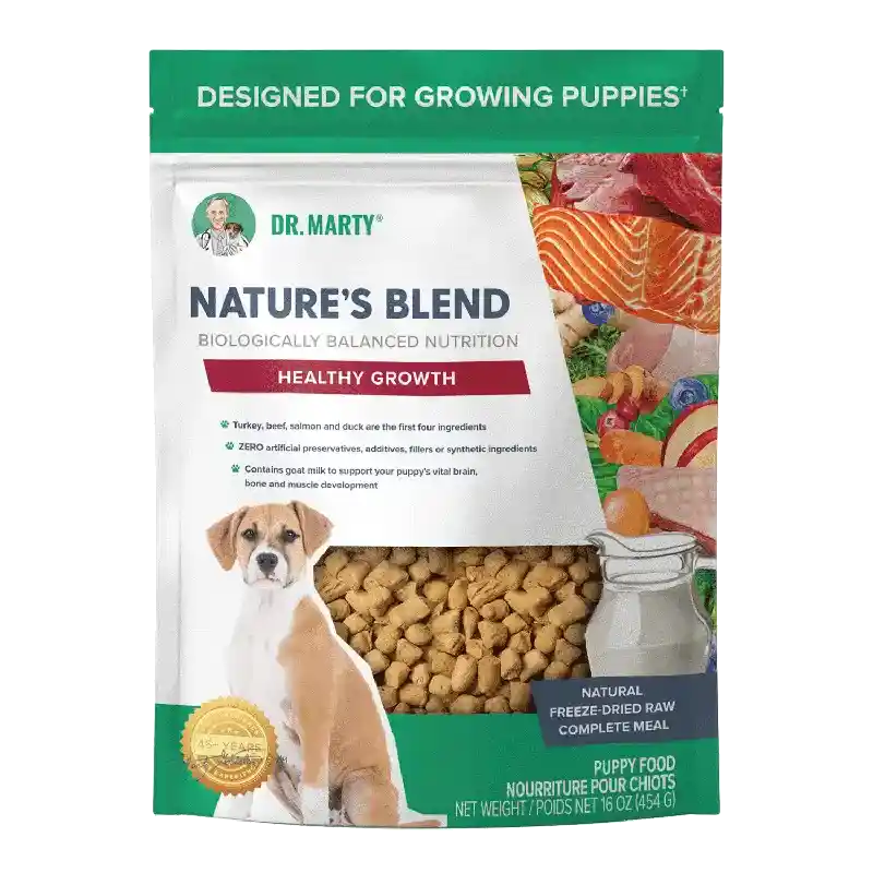 Dr Marty Dog FD Raw Nat Blend Puppy 16-oz