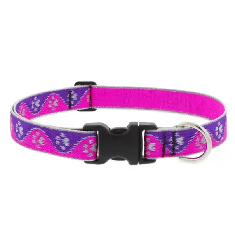 Lupine High Lights Pink Paws 1" 12-20" Collar