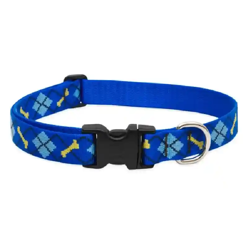 Lupine Dapper Dog 1" Collar 12-20"