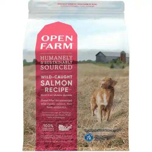 Open Farm Dog GF Wild Slmn 22#