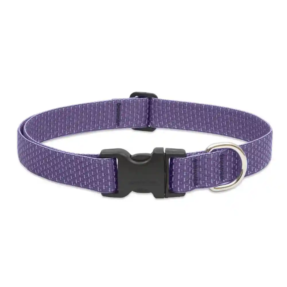Lupine ECO 1" Lilac Collar 12-20"