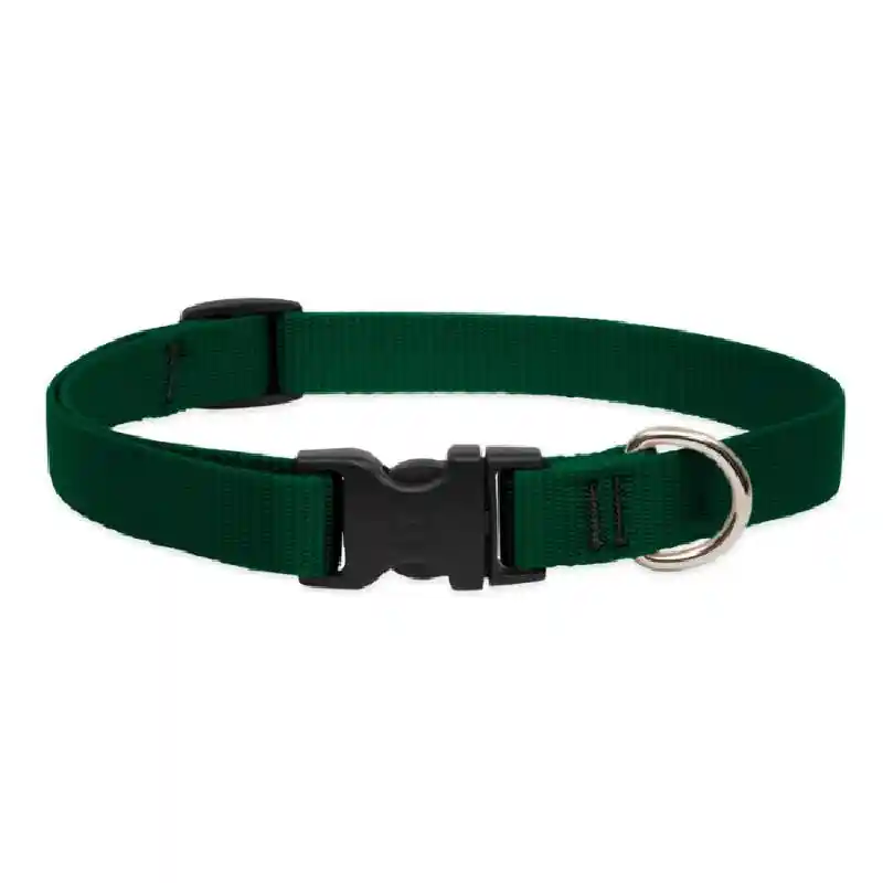 Lupine Green 3/4" Collar 13-22"