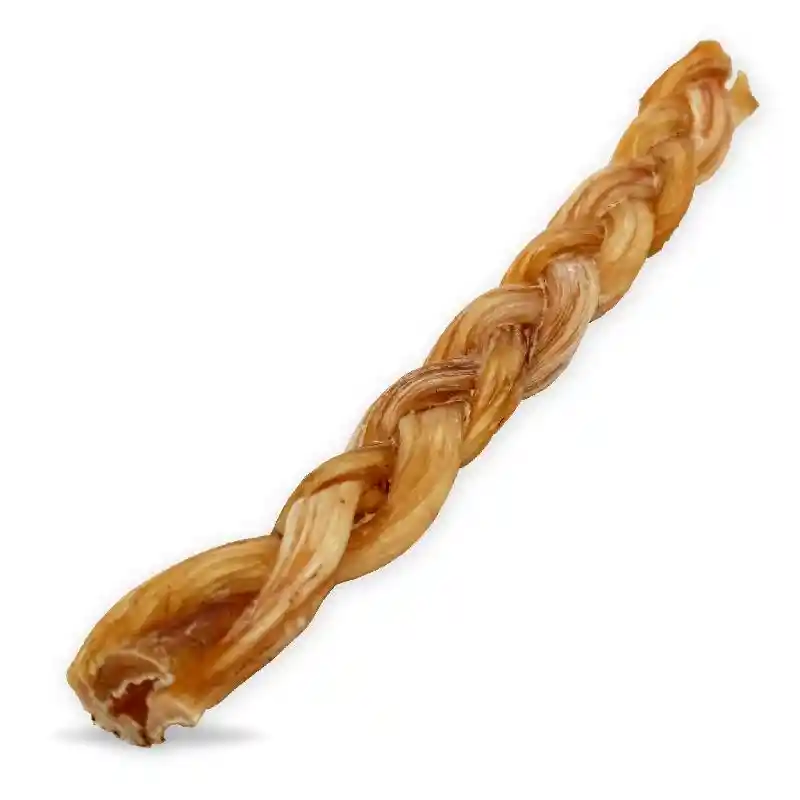 Raw Dog Chews Braided Bf Tendon 10"