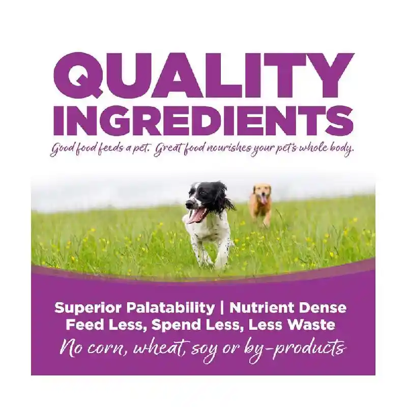 NutriSource Dog Ckn & Rice Puppy Large Breed 30#
