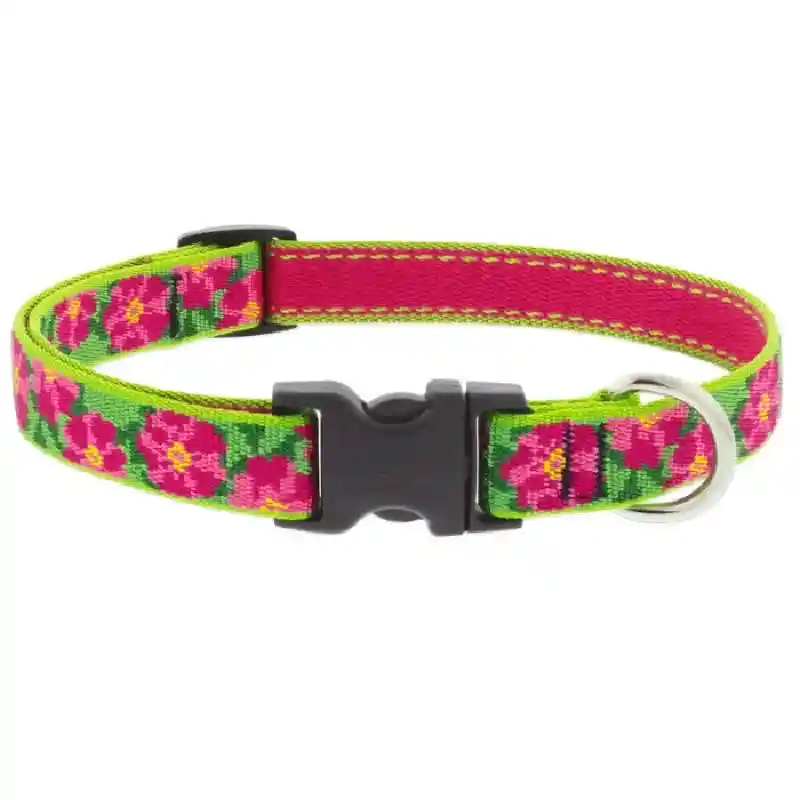 Lupine Petunias 3/4" Collar 13-22"