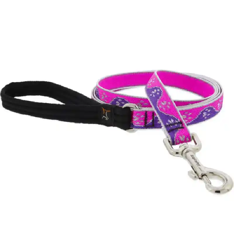 Lupine High Lights Pink Paws 3/4" 6ft Lead