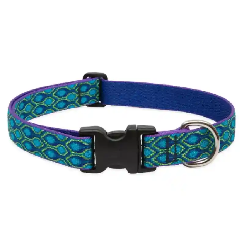 Lupine Rain Song 1" Collar 12-20"