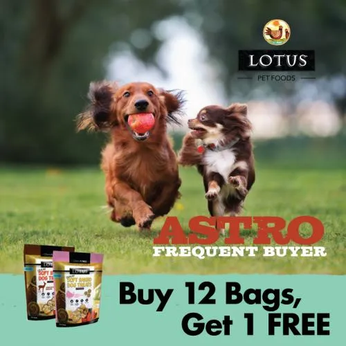 Promotion Image