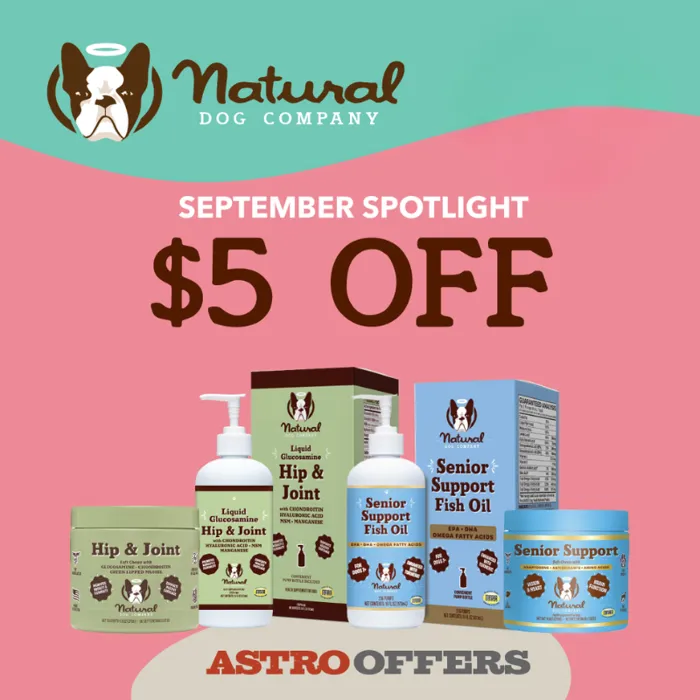Promotion Image