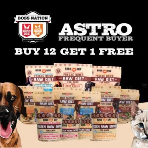Promotion Image