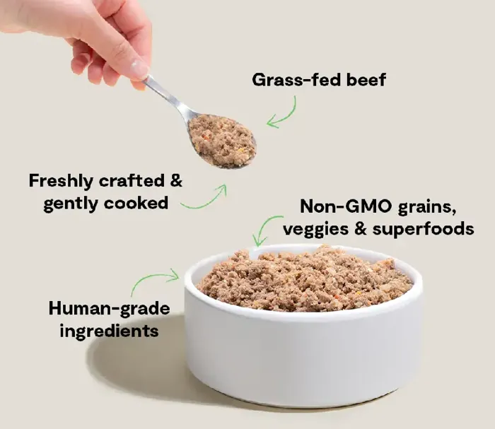 Open Farm Frzn Gently Cooked Goodbowl Beef Grain 16 Oz