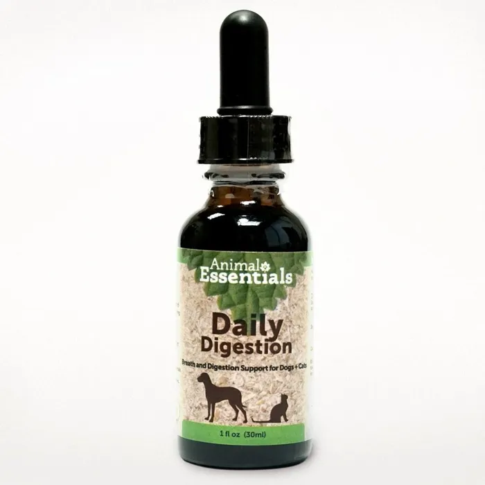 Ae Daily Digestion Ginger Mint Tincture 1-oz