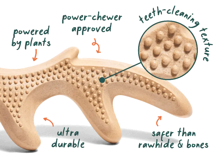 Woof Dog Toy Honestchew Antler Small