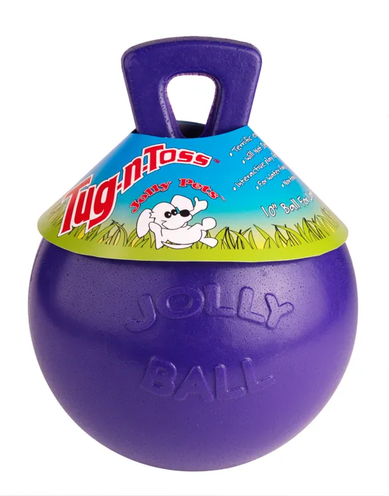 Jolly Pet Tug & Toss 4.5" Purple