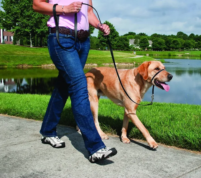 Gentle Leader Headcollar Blk Lg